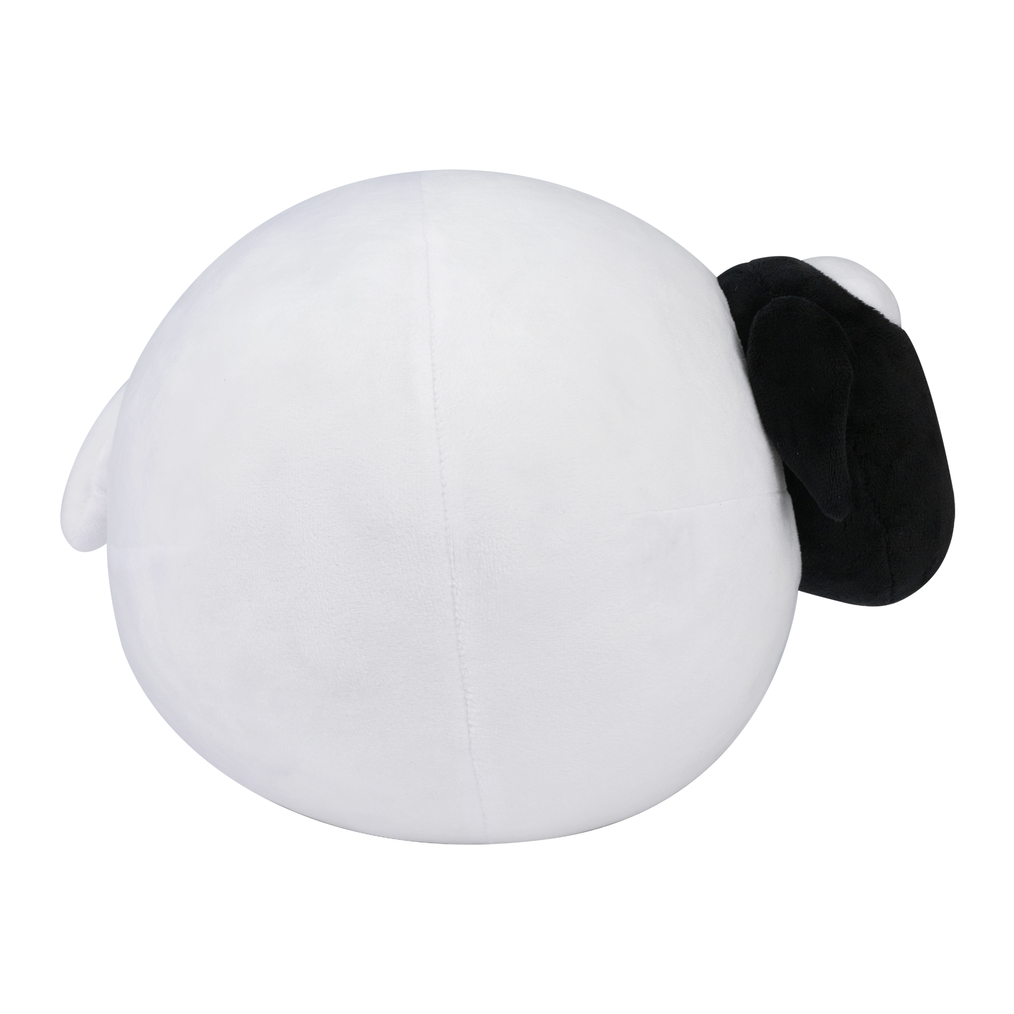 Albino Black Sheep Test Plush