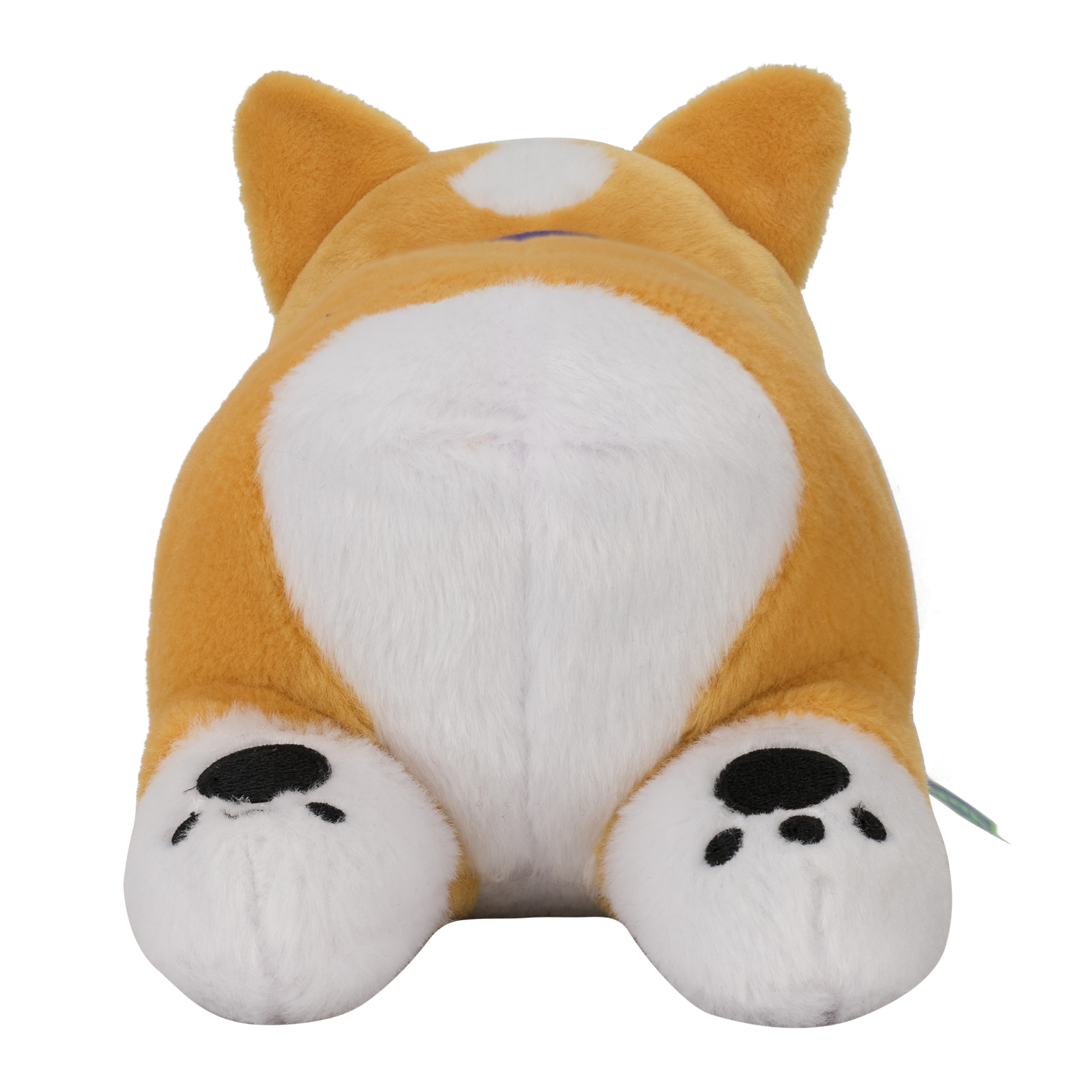 Tofu The Corgi Longboi