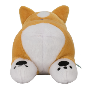 Tofu The Corgi Longboi