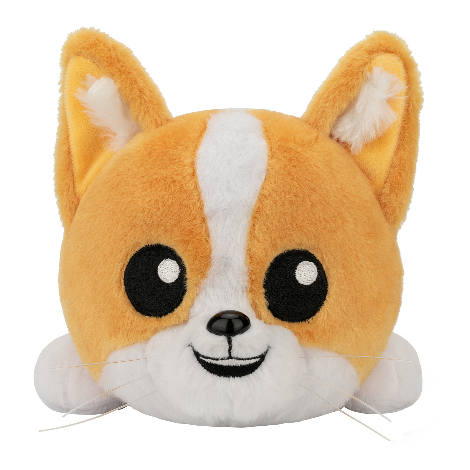 Topi the Corgi LongBoi
