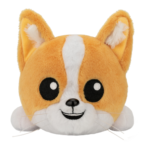 Topi the Corgi LongBoi