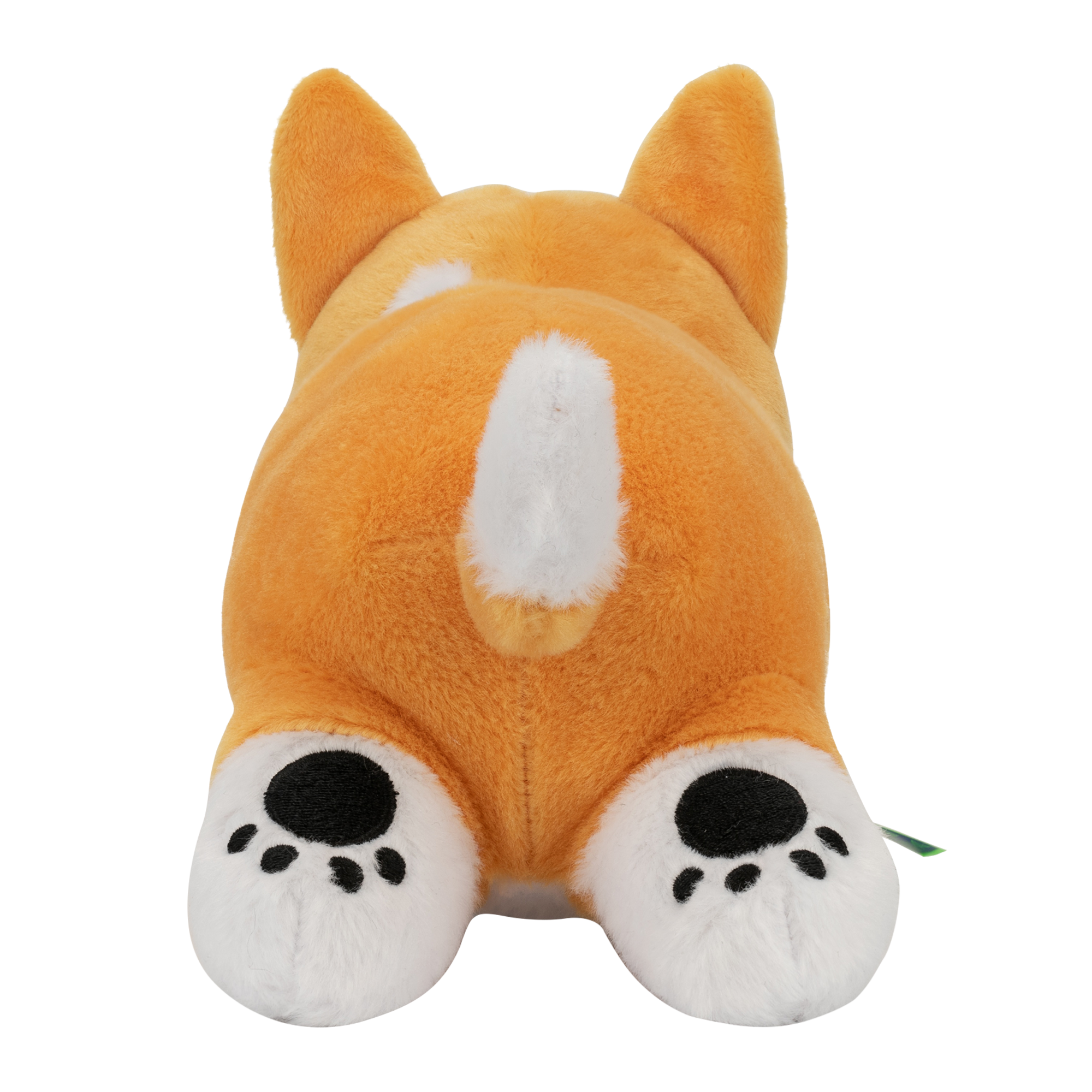 Topi the Corgi LongBoi