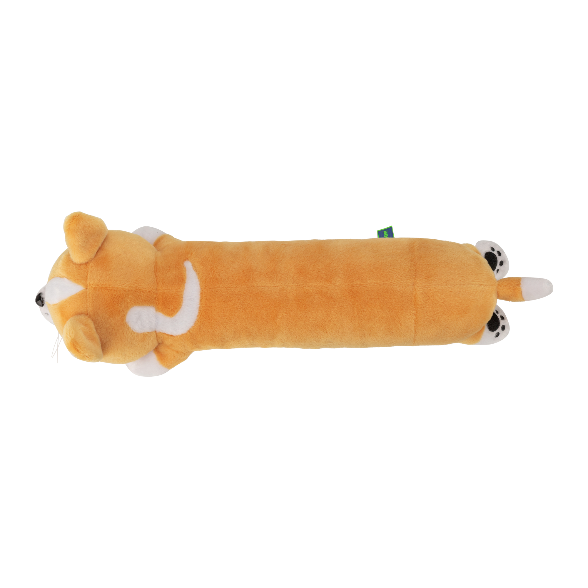 Topi the Corgi LongBoi